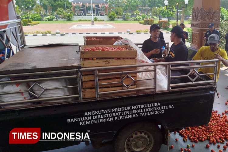 Pantau Harga Tomat, Pemkab Madiun Upayakan Hasil Panen Terserap Pasar